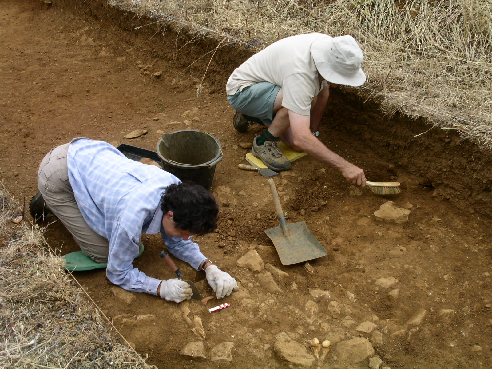 meet-the-archaeologist