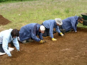 Excavation at the National Herb Centre